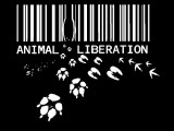 animal-liberation-nasivka