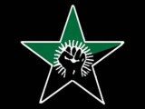 green anarchy stella
